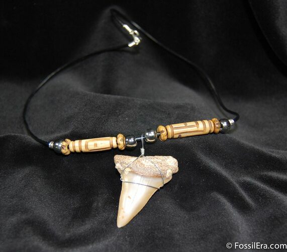 Megalodon Tooth Necklace #596